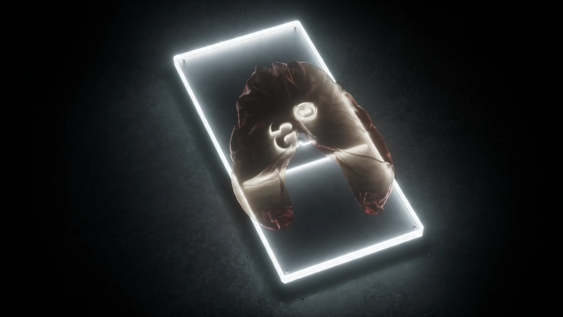 3D rendered glowing white light box displaying an abstract organic sculptural form on a dark background Unda concept motion and 3D design