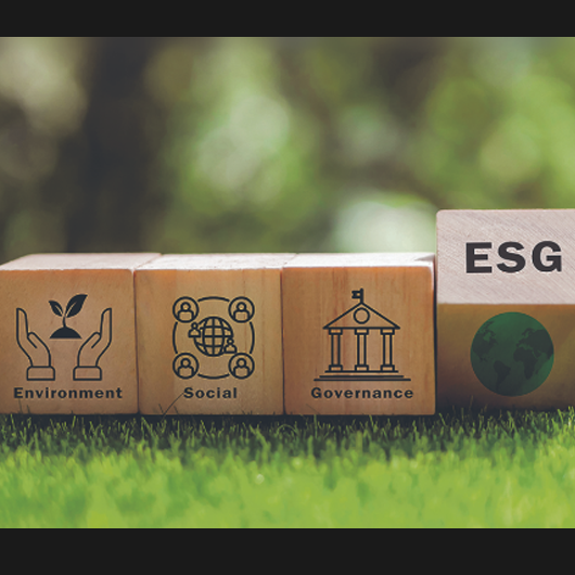 ESG: Love it or Leave it