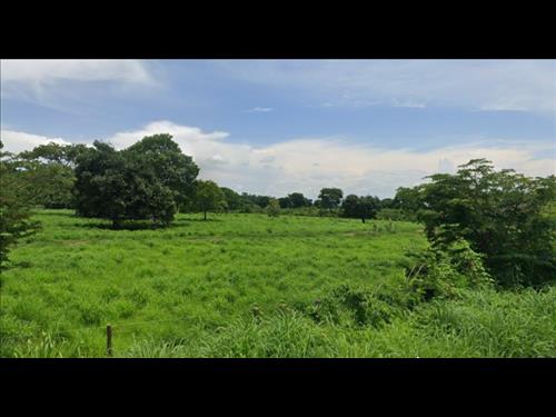 LOTE 008        FAZENDA COM 4.840HA EM NOVA ROMA / GO.