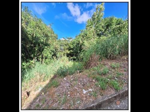 Terreno  -   - 300,00m2