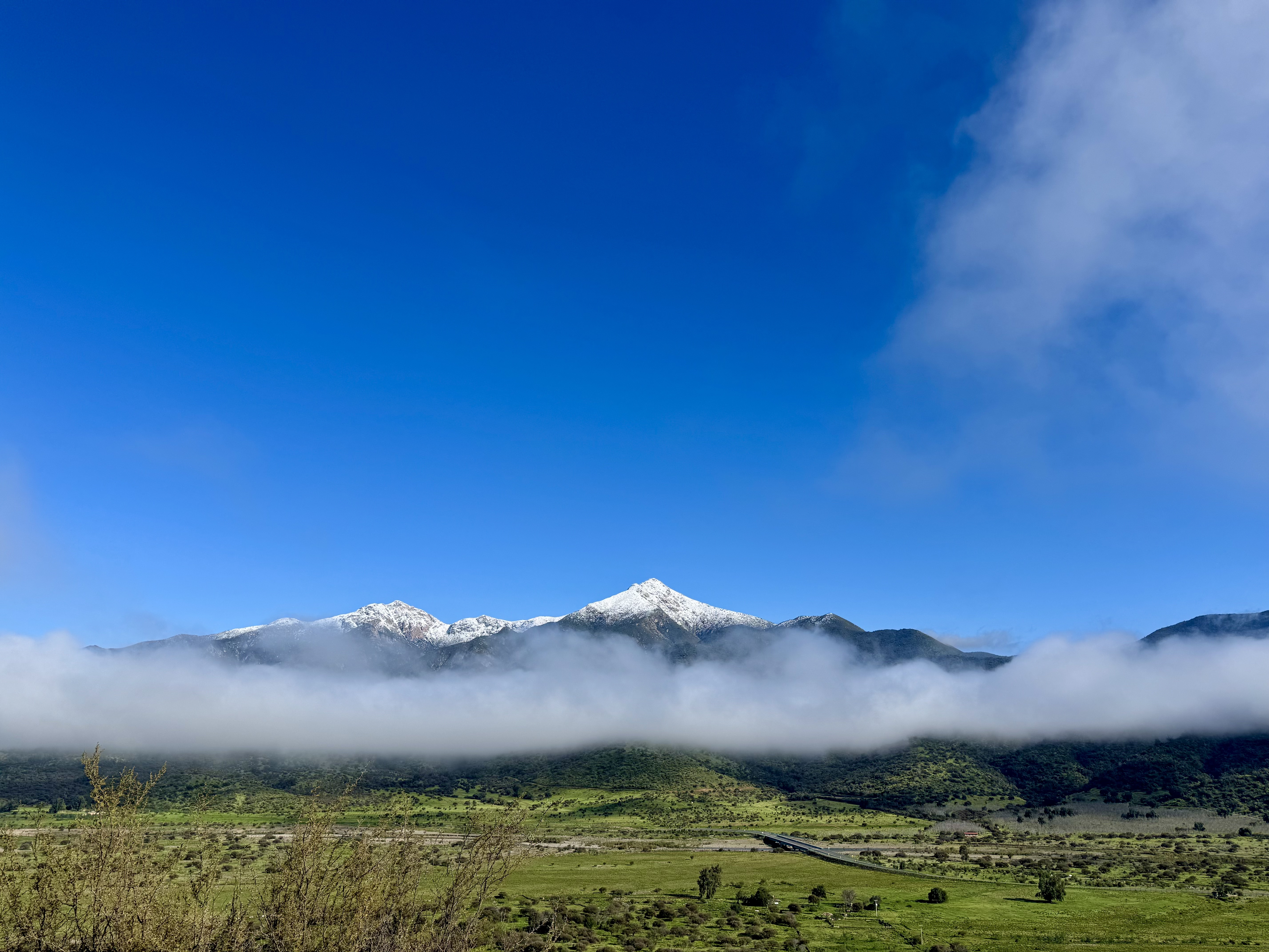 Descripción