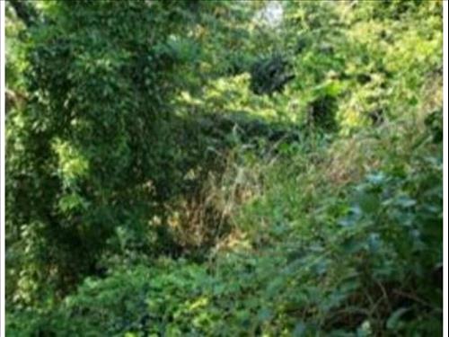 Terreno à venda em leilão