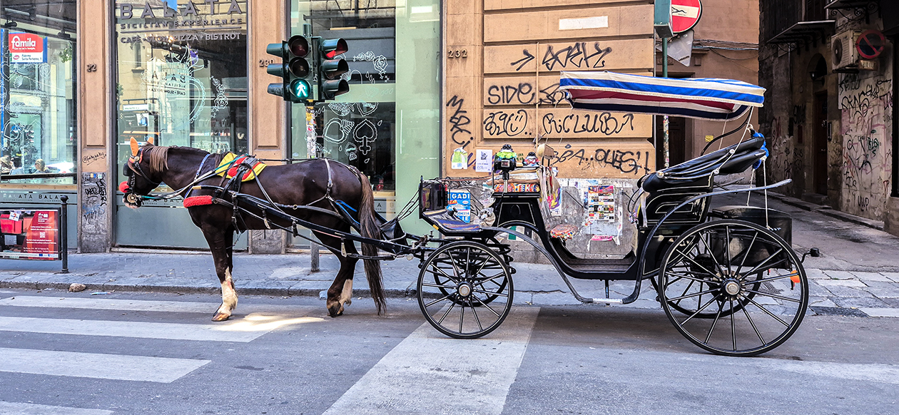Palermo Palermo