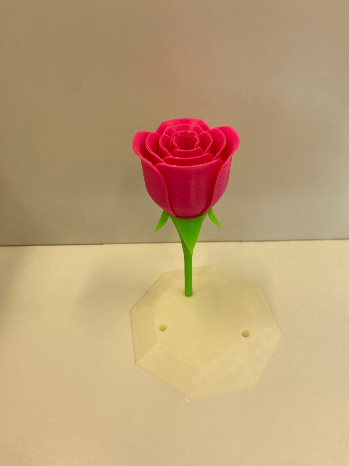 Rosa (Pequena) - imagem 5