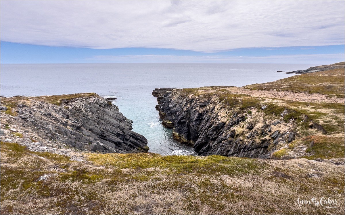 St. John's (I) - Terranova & Labrador: icebergs, puffins y balleneros vascos (15)
