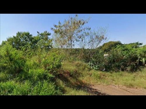 LOTE 104        TERRENO DE 3.115,70 M² EM BAURU/SP