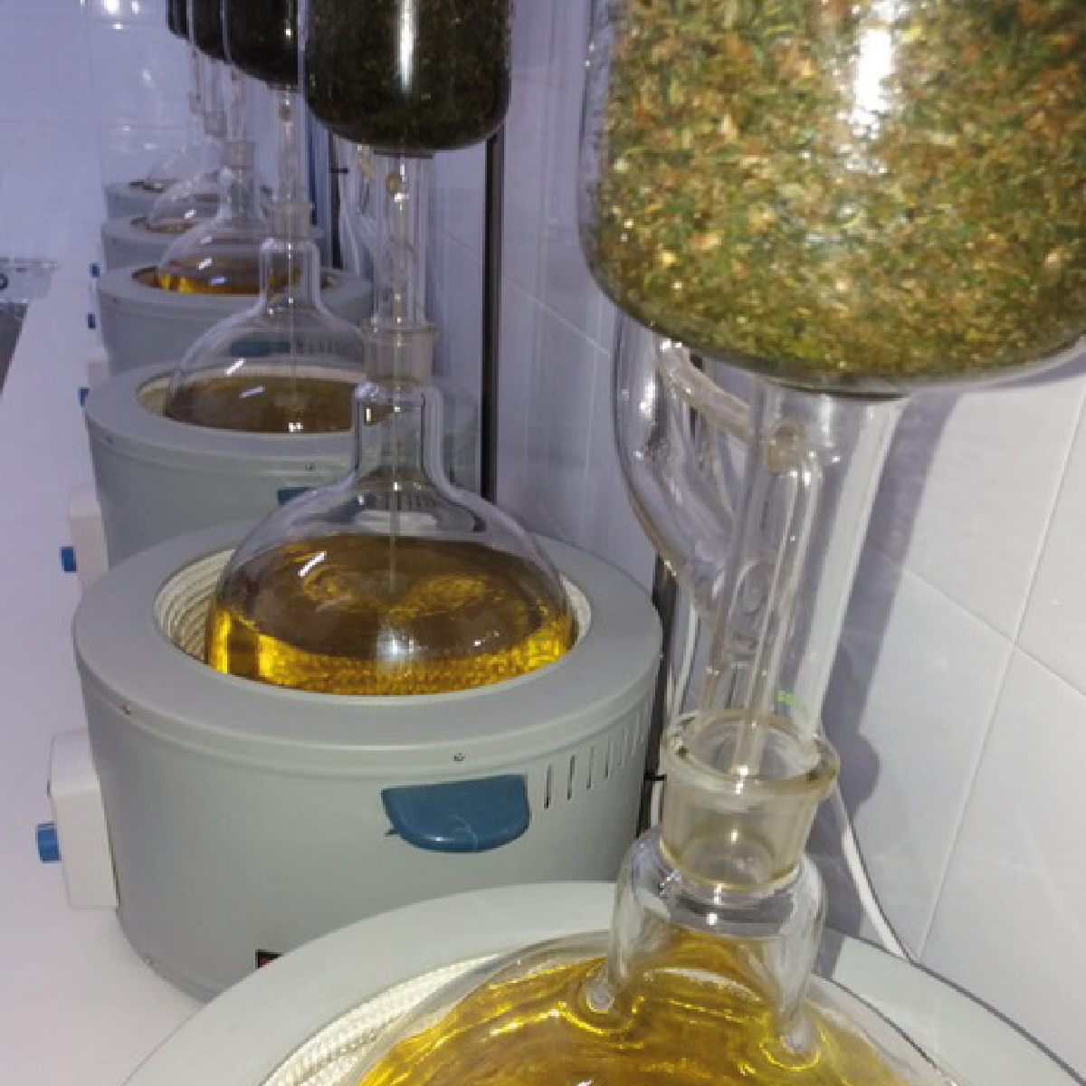 cbd spain 4.webp