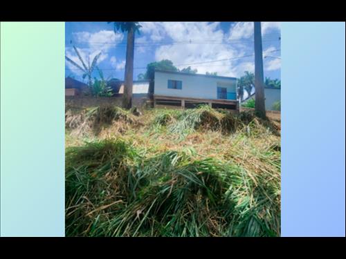 Terreno 329m² Muriaé