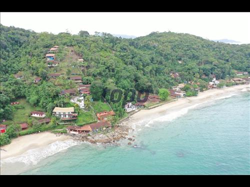 Topo Leilões - Lotes - 21.549,22m² - Estrada da Praia da Almada - Almada - Ubatuba/SP