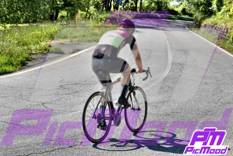 Passo dell Abetone