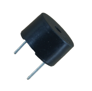 Buzzer