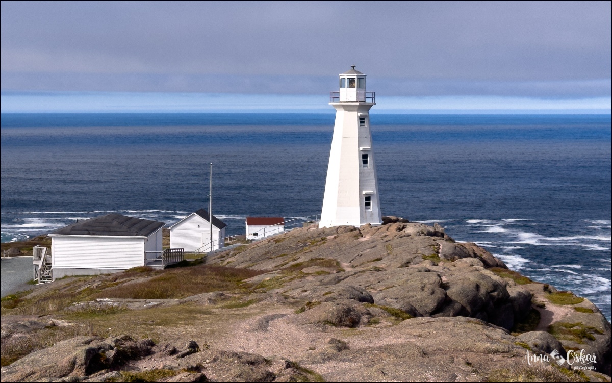St. John's (II) - Terranova & Labrador: icebergs, puffins y balleneros vascos (16)
