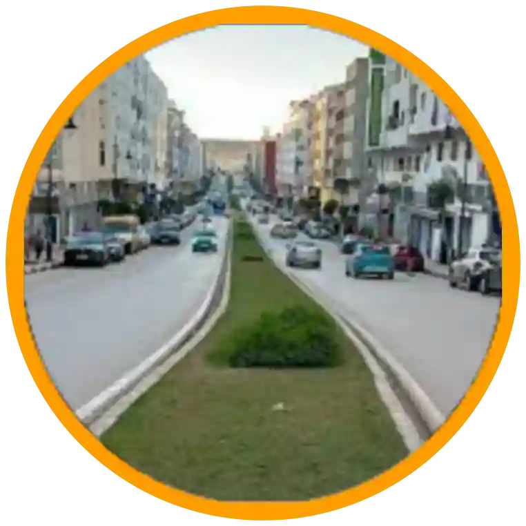 عبد الحميد سيدي إدريس