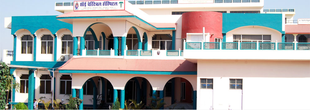 Health & Hygiene Nursing Education Institute, Alwar