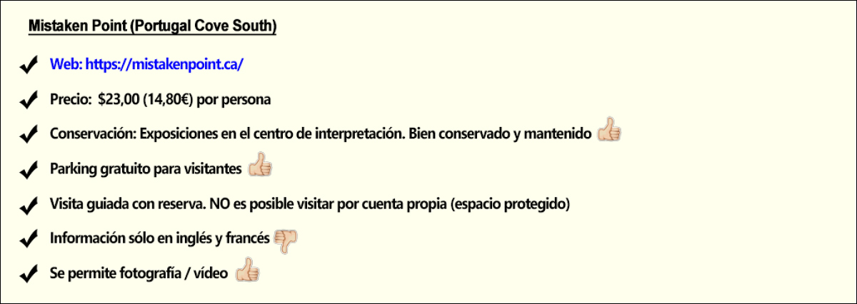 St. John's (I) - Terranova & Labrador: icebergs, puffins y balleneros vascos (2)