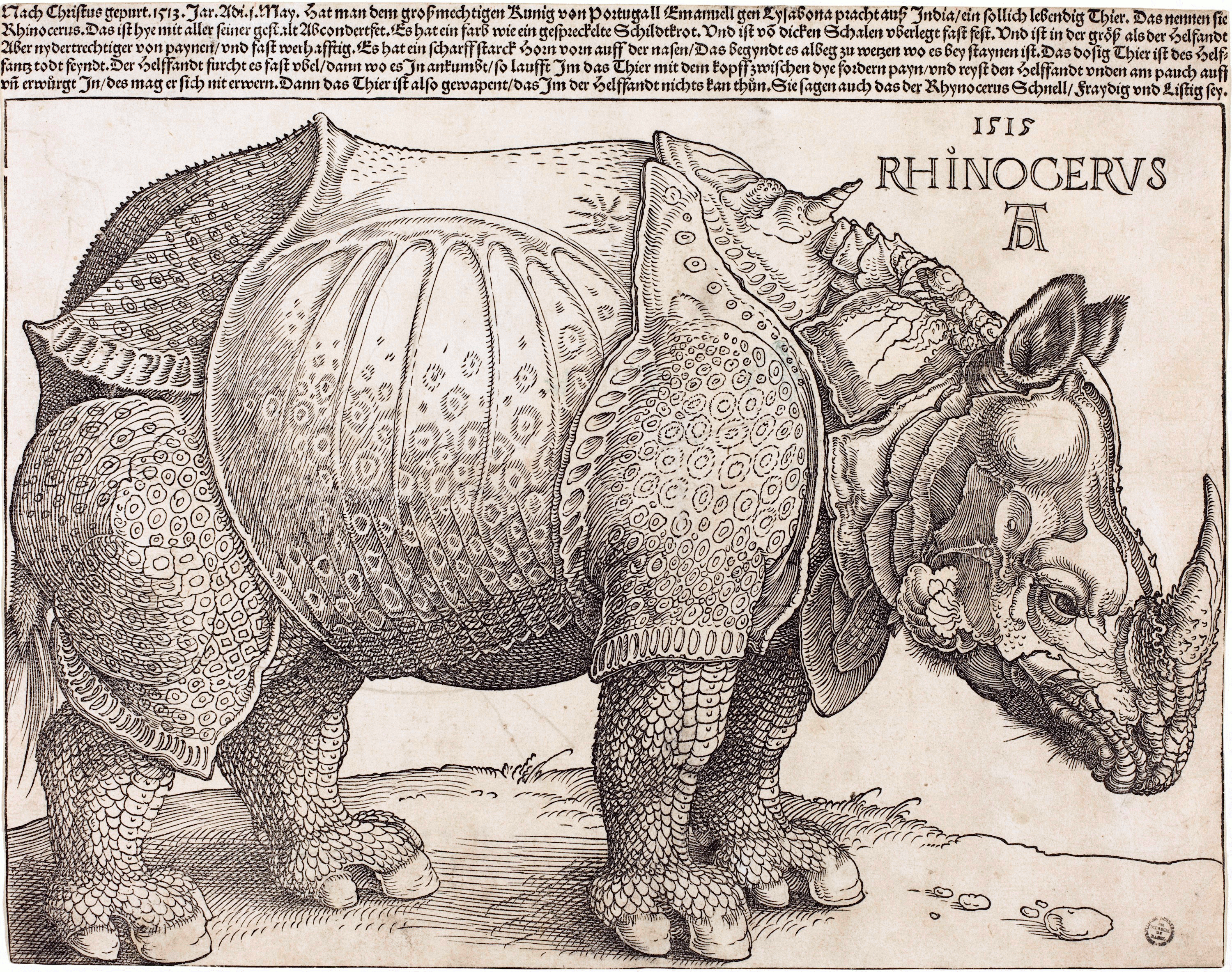 Albrecht Dürer, The Rhinoceros, 1515. Woodcut. National Gallery of Art, Washington. Dürer never saw the animal; he worked from a written description and a sketch.