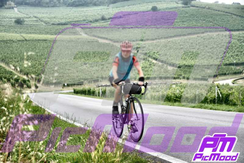 Barolo