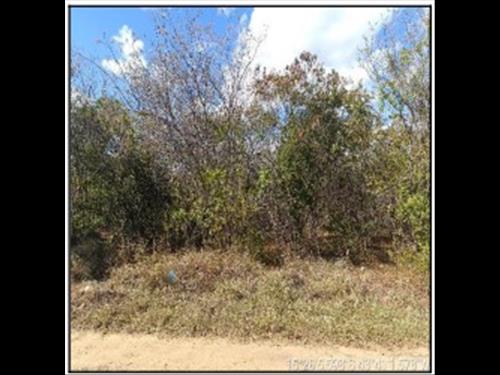 Terreno  -   - 446,71m2