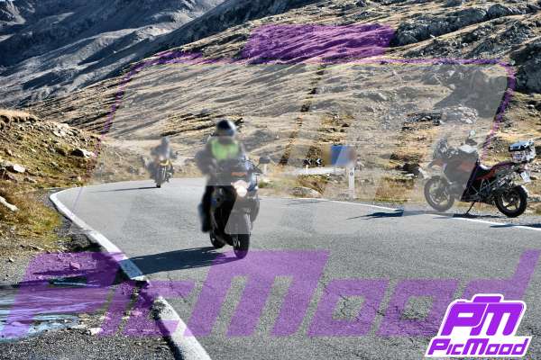 Passo Gavia
