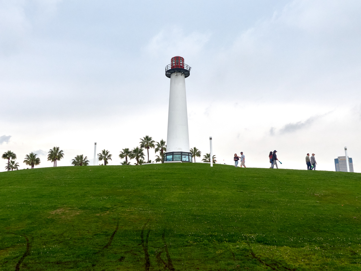 Faro Lions Faro Lions