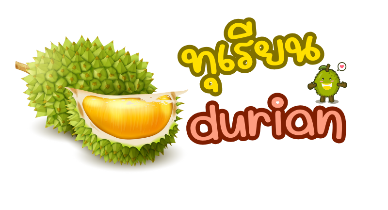 ทุเรียน ภาษาอังกฤษ durian