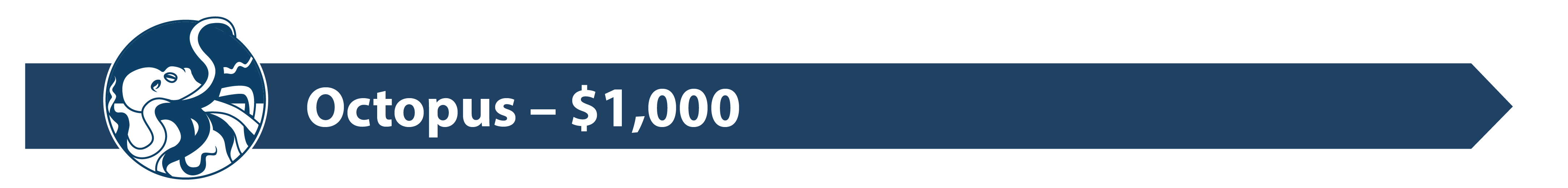 Sponsor tier divider graphic
