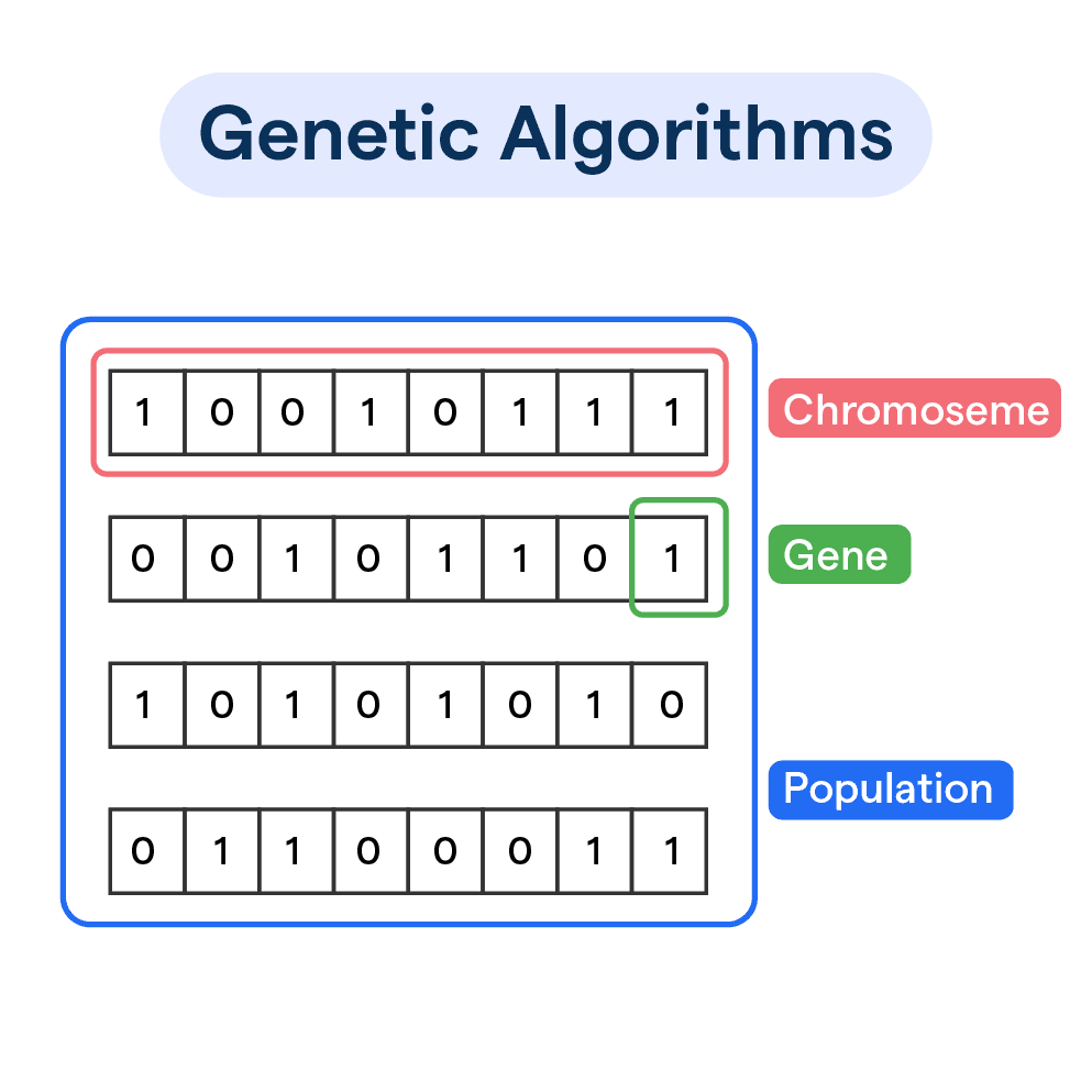 Optimization Algorithms Project