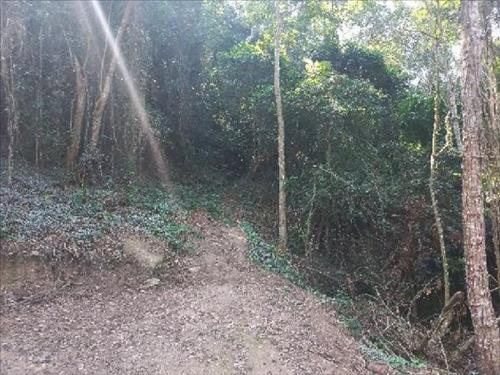 Terreno  -   - 481,30m2