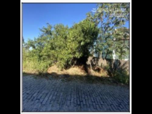 Terreno          -   - 375,00m2