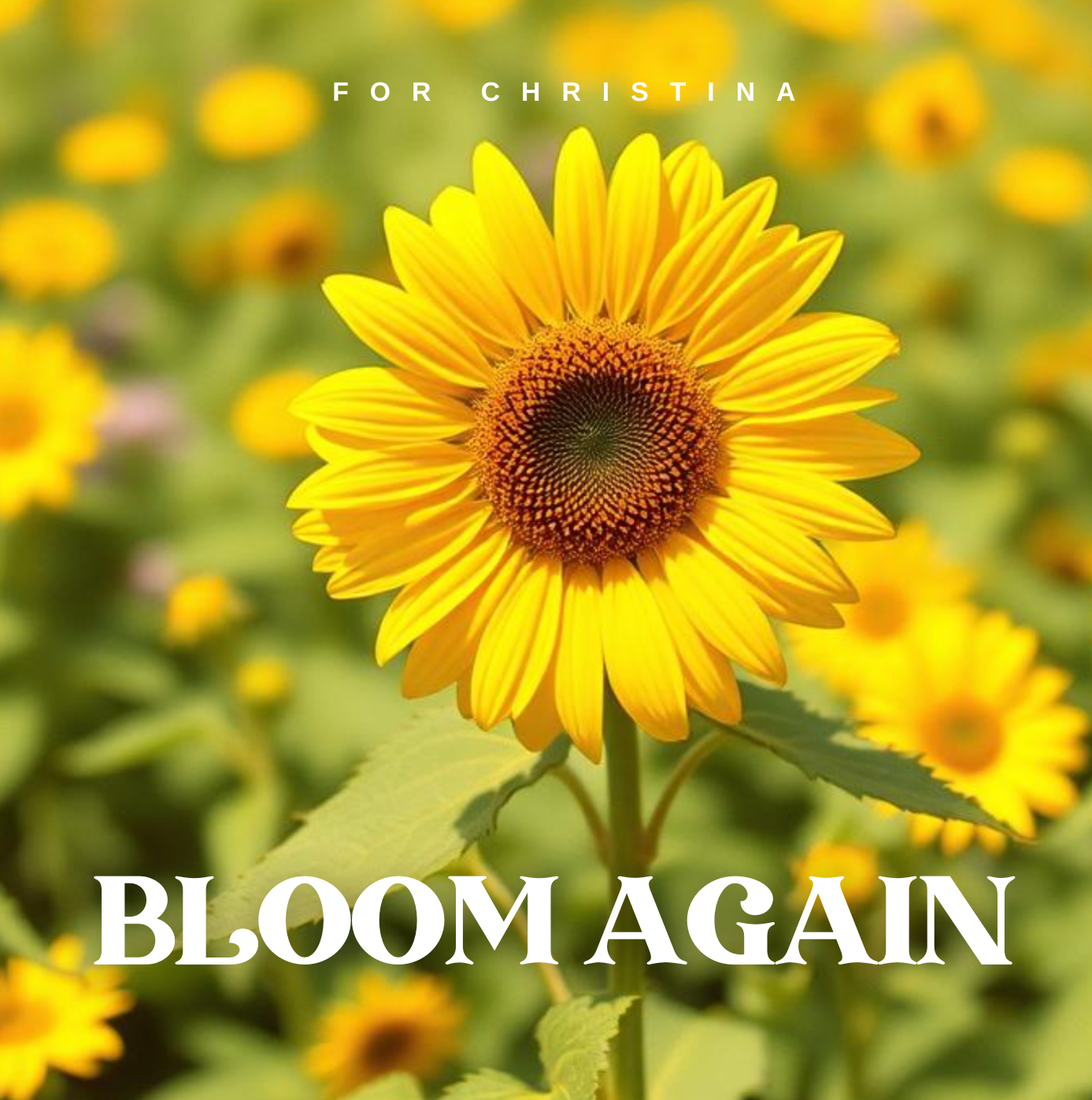 Bloom Again Cover Art