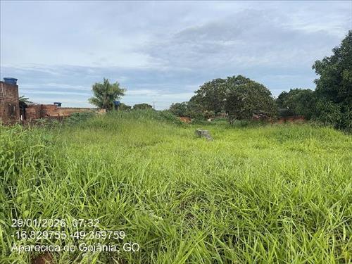 Terreno          -   - 376,65m2