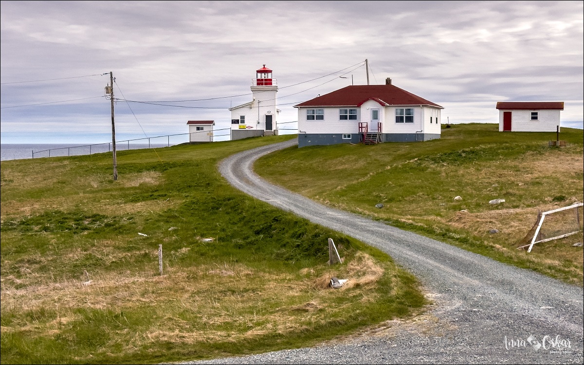 St. John's (I) - Terranova & Labrador: icebergs, puffins y balleneros vascos (23)