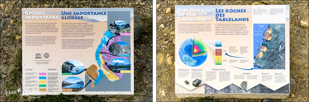 Terranova & Labrador: icebergs, puffins y balleneros vascos - Blogs de Canada - Gros Morne National Park (I) (4)
