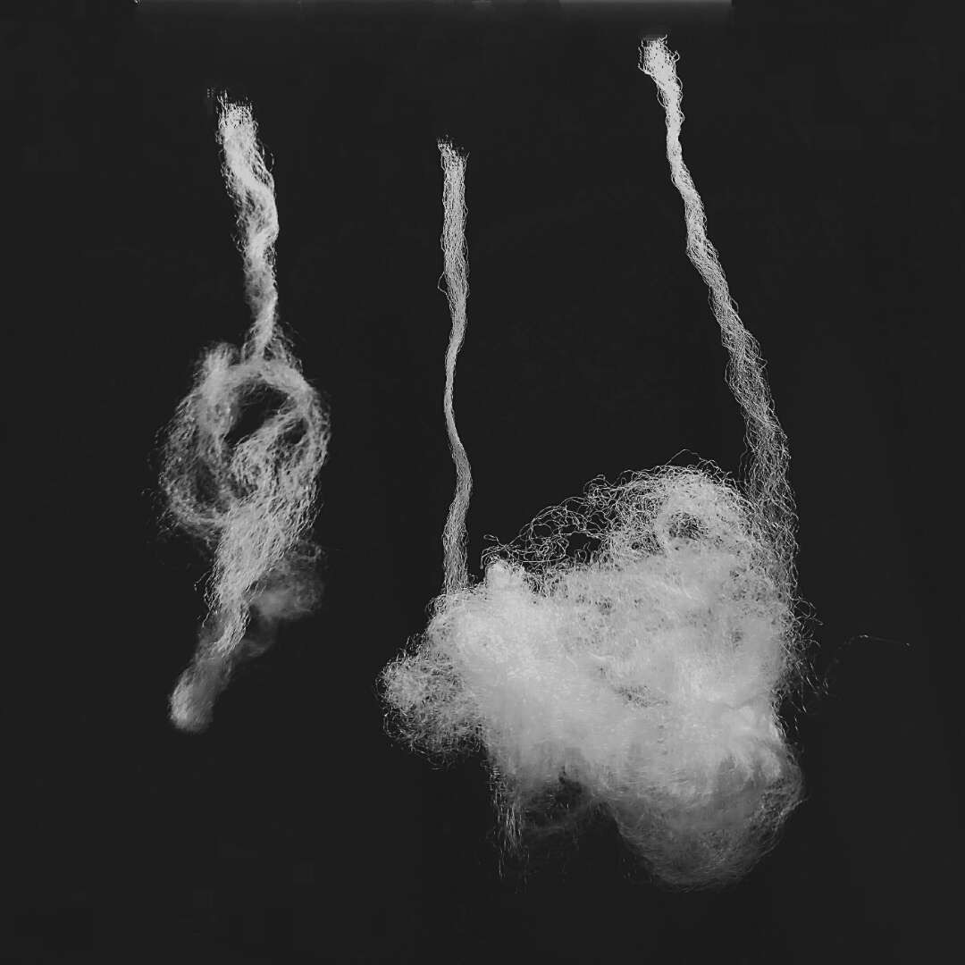Circle. album cover