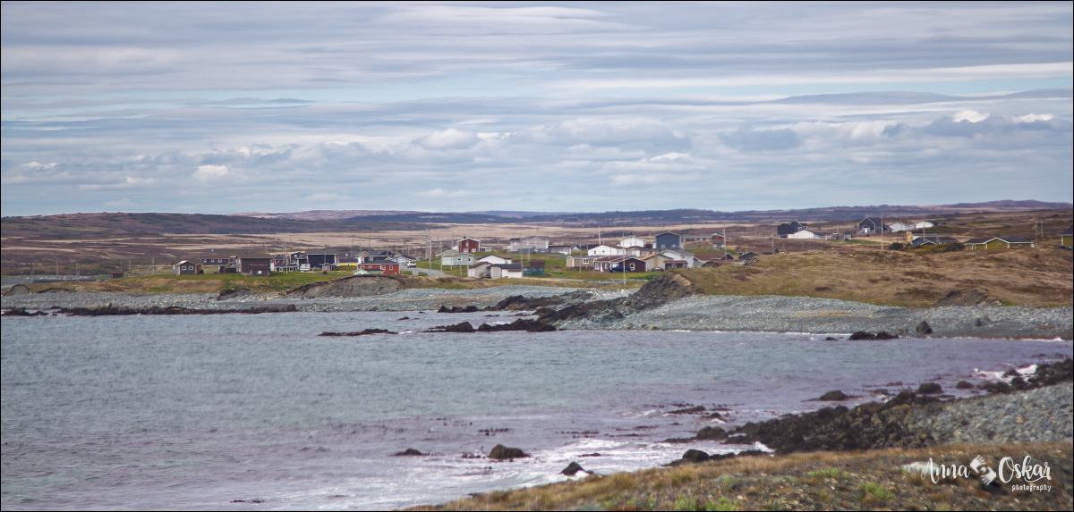 St. John's (I) - Terranova & Labrador: icebergs, puffins y balleneros vascos (21)