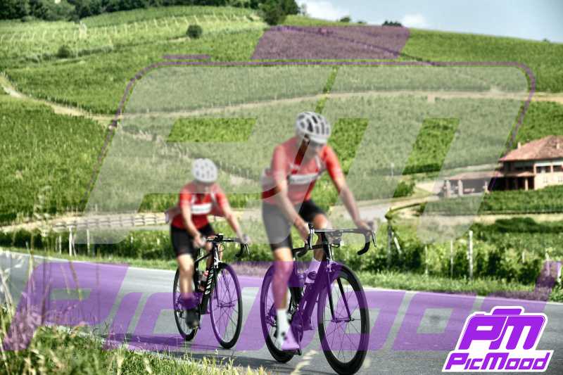 Barolo