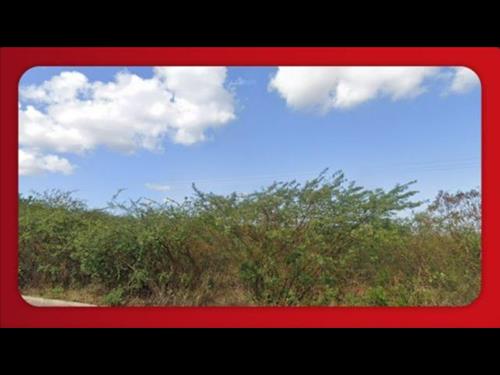 FAZENDA 481 M²  CARNAUBAIS (RN)- FAZENDA ANGICOS, S/N. CEP- 59665-000.  INTERMÉDIO E ASSESSORIA PRO...