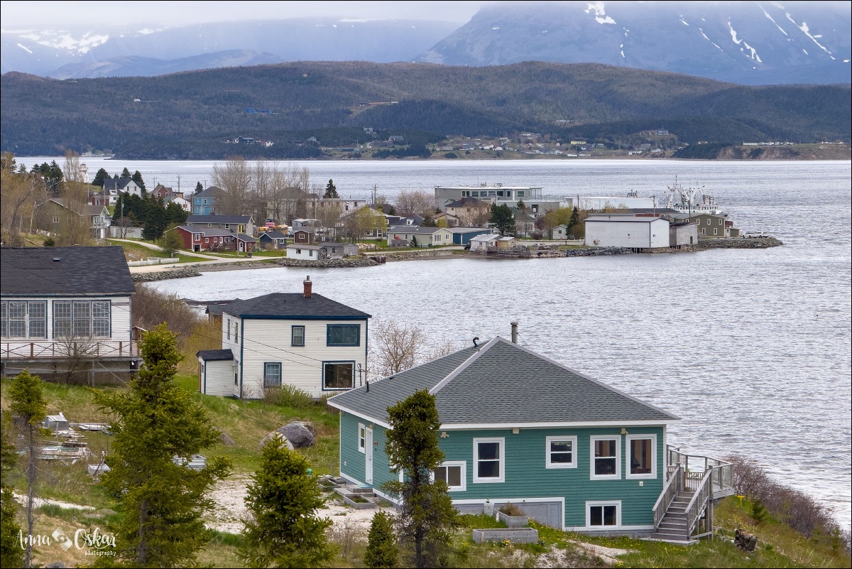 Terranova & Labrador: icebergs, puffins y balleneros vascos - Blogs de Canada - Gros Morne National Park (I) (8)