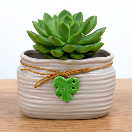 Mini maceta cerámica, 17x10cm