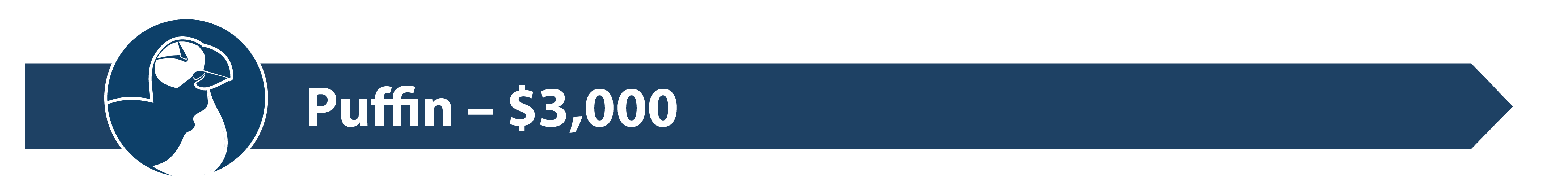 Sponsor tier divider graphic