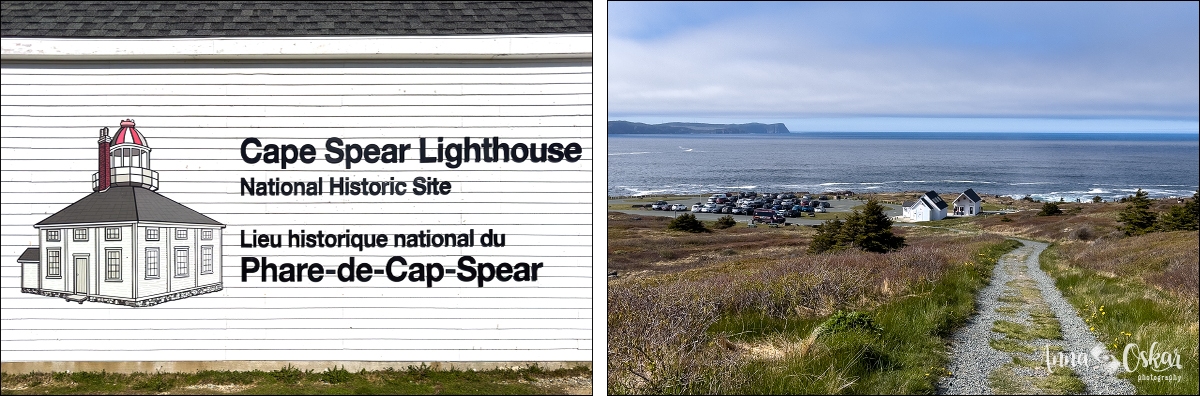 St. John's (II) - Terranova & Labrador: icebergs, puffins y balleneros vascos (14)