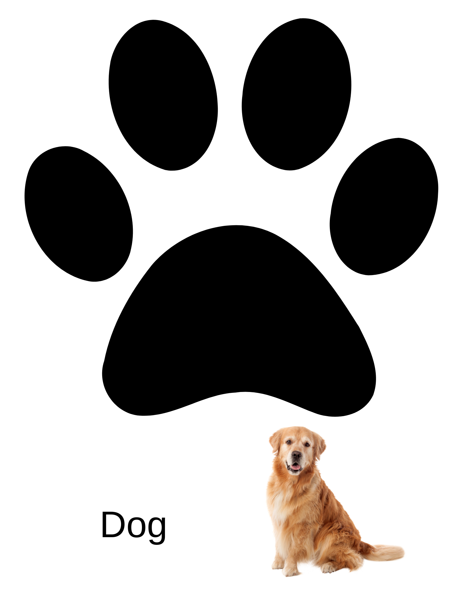 Animal Walk workbook page 17