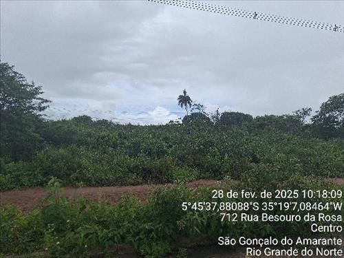 Terreno  -   - 800,00m2