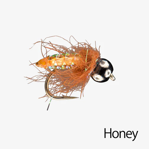 [Honey]