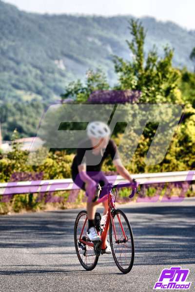 Vernasca
