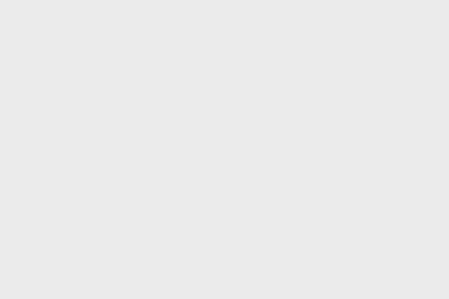Descriptive text for the animation