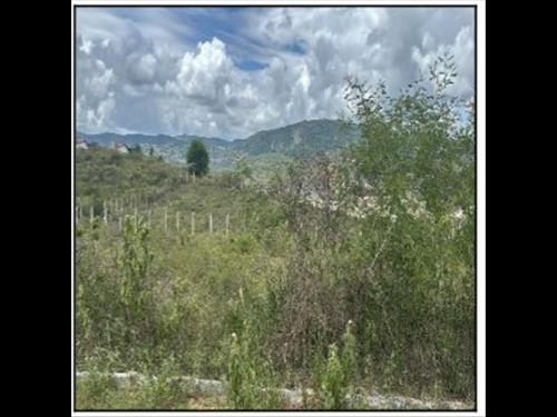 Terreno          -   - 2.605,00m2