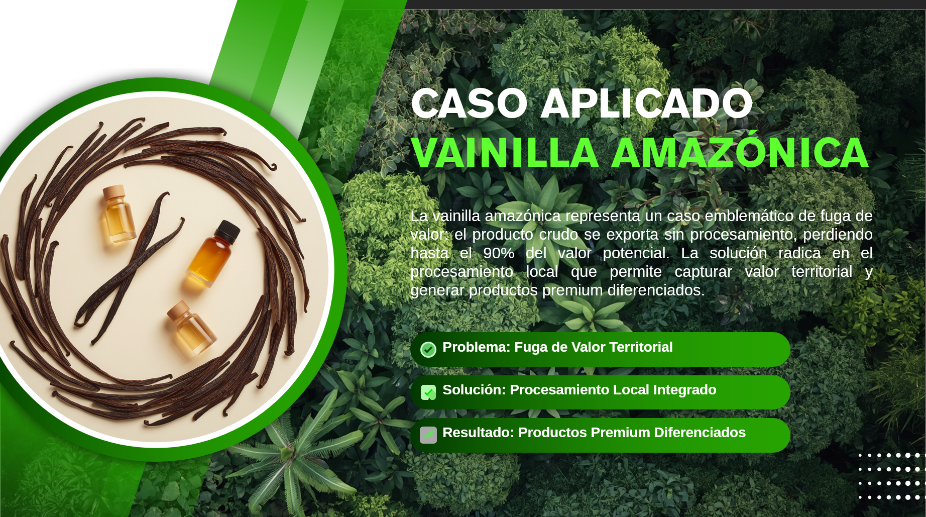 Descripción