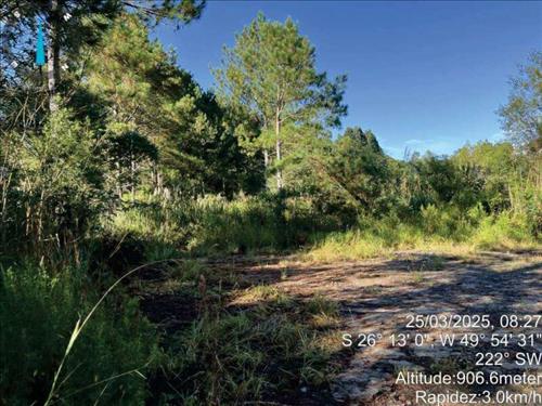 LOTE 008        IMÓVEL RURAL COM 107.690,00m2 EM MAFRA (SI...