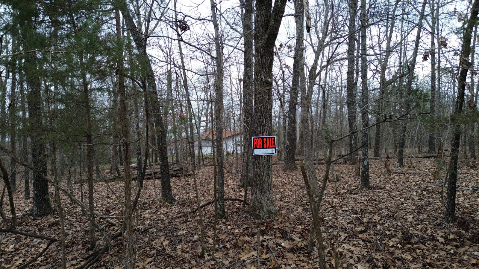 901 White Oak photo 1